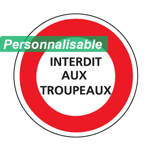 Panneau autres interdictions B19