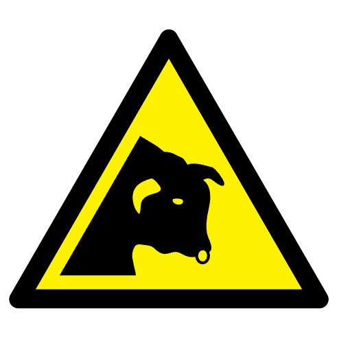 Danger taureau