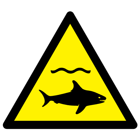 Danger requins