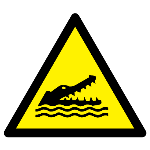 danger crocodile alligators ou caïmans