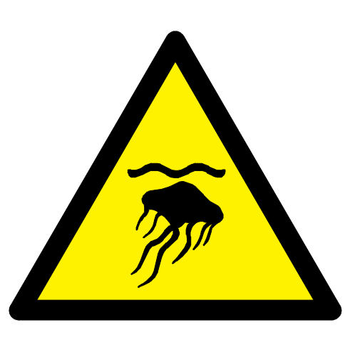 Danger méduses