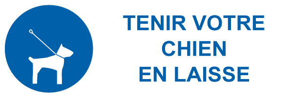 Tenez votre chien en laisse - M551 - étiquettes et panneaux d'obligation et de consigne - picto et texte paysage