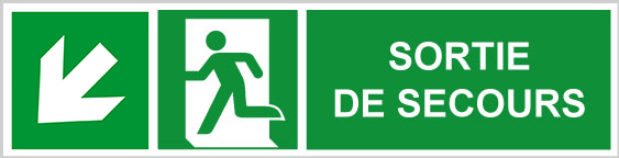Sortie de secours - E509 - étiquettes et panneaux d'évacuation, de sauvetage et de secours - paysage